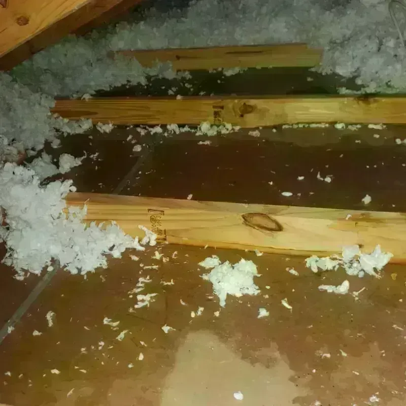 Attic Water Damage in Hillsboro, IL