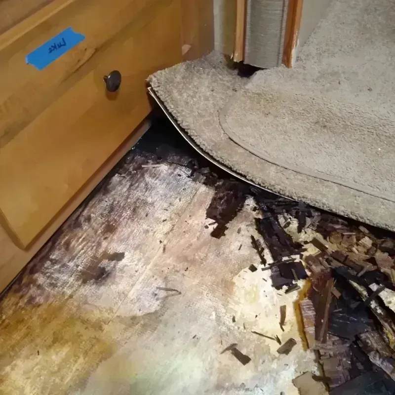 Wood Floor Water Damage in Hillsboro, IL